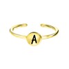 Zilveren ring goldplated disc alfabet (1056535)
