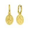 Holy coin earrings (1059296)