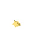 Zilveren goldplated oorknop star (1061884)