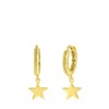 Zilveren goldplated oorbellen ster (1062103)