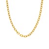 Stalen goldplated ketting chunky (1071302)