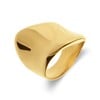 Asymmetrischer Ring aus Edelstahl, vergoldet (1071272)