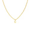 Stalen goldplated ketting closed forever letter C (1071416)