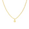 Stalen goldplated ketting closed forever letter G (1071420)