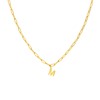 Stalen goldplated ketting closed forever letter M (1071426)