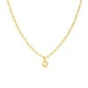 Stalen goldplated ketting closed forever letter Q (1071430)