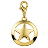 Byoux goldener Stern-Charm (1019761)