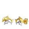 Kinderohrringe, 585 Gelbgold, mit 2 Delfinen, zweifarbig (1021668)