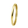 14 Karaat geelgouden ring (1041370)