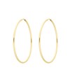 Silberne, goldplattierte Ohrringe 60 mm (1068192)