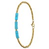 Stalen goldplated armband met turquoise (1069866)