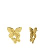 Vergoldete Edelstahlohrringe mit Schmetterlingen (1069897)