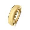 Stalen goldplated ring (1070505)