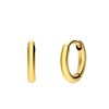 Stalen goldplated oorringen 10mm (1070537)