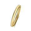 Stalen goldplated ring 2mm (1070565)
