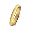 Stalen goldplated ring 3mm (1070567)