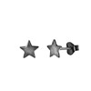 Zilveren oorbellen blackplated ster (1041589)