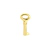 Stalen goldplated slider sleutel (1063051)