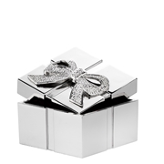 Versilberte Geschenkebox Geschenk (1013550)