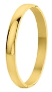 Stalen armband bangle goldplated (1043344)