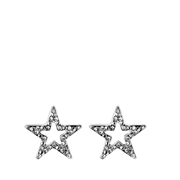 Zilverkleurige byoux oorbellen ster (1053456)