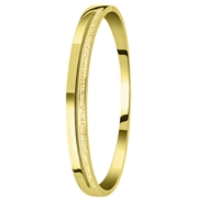 Gerecycled stalen armband bangle gold light colorado kristal (1057349)