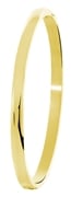 Stalen armband bangle goldplated 5mm (1057556)