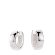 Zilveren oorbellen (1059002)