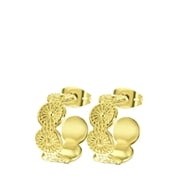 Delightful earrings (1059285)