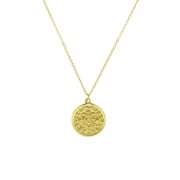 Holy coin necklace (1059298)