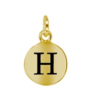 Zilveren hanger alfabet goldplated (1059542)