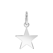 Zilveren hanger ster (1059655)