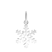 Zilveren hanger sneeuwvlok (1059656)