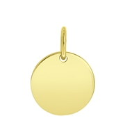 Zilveren hanger gold discMix&Match ketting/armband (1059921)