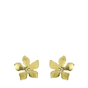 Goudkleurige bijoux oorbellen bloem (1060575)