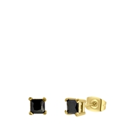 Stalen oorbellen gold met vierkante zirkonia 4mm (1061241)