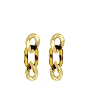 Goudkleurige bijoux oorbellen panter (1062272)