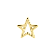 Stalen goldplated slider ster (1063039)