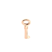 Stalen roseplated slider sleutel (1063050)