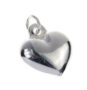 Zilveren hanger hart bol (34833308)