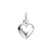 Zilveren hanger hart bol (34912656)