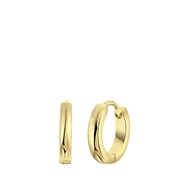 Ohrringe für Herren, Edelstahl, vergoldet, 2,5 mm (1065169)