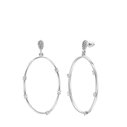 Zilverkleurige bijoux oorbellen ovaal (1065507)