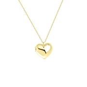 Zilveren goldplated ketting&hanger hart medaillon (1064075)