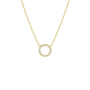 Stalen goldplated ketting rond (1064694)