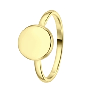 Stalen goldplated ring disc (1064705)