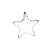 Gerecycleerd stalen charm ster (1064787)