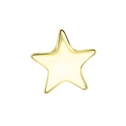 Anhänger, Edelstahl, vergoldet, Stern (1064788)