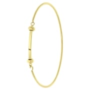 Stalen goldplated armband bangle voor charms (1064792)