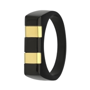 Gerecycled stalen blackplated heren ring streep goldplated (1065177)